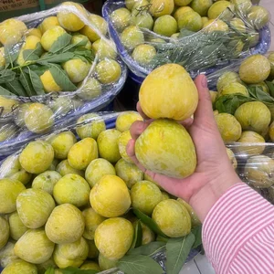 Why Consumers Are Rushing to Buy $18/kg Chinese Plums - image 9