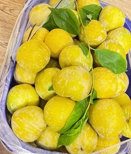 Why Consumers Are Rushing to Buy $18/kg Chinese Plums - image 6