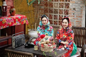 Elegant Peacock Pattern Ao Dai: MC Nghe An's Stunning Lunar New Year Photoshoot - image 10