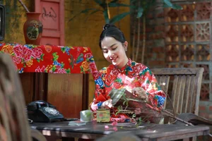Elegant Peacock Pattern Ao Dai: MC Nghe An's Stunning Lunar New Year Photoshoot - image 0