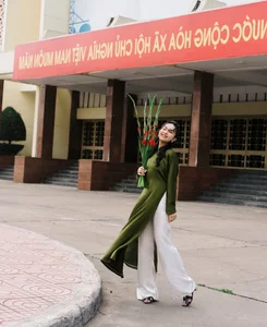 Elegant Peacock Pattern Ao Dai: MC Nghe An's Stunning Lunar New Year Photoshoot - image 2