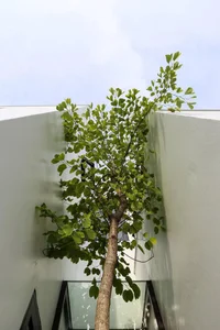 Modern Open-Design Home for Three Generations in Dong Anh, Hanoi - image 7