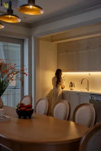 Luxury Jules Villa in Ha Long: A European-American Style Architectural Revival for Multi-Generational Living - image 40