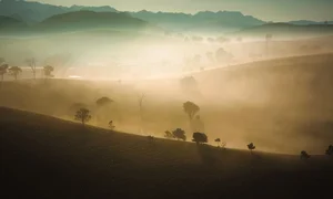 Savor the Magic of Moc Chau: Vietnam's Dreamy Tea Hills Shrouded in Morning Mist - image 5