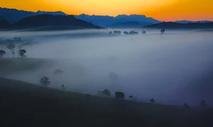 Savor the Magic of Moc Chau: Vietnam's Dreamy Tea Hills Shrouded in Morning Mist - image 8