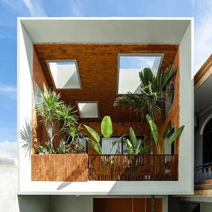Maximizing Natural Light: The Architectural Genius of Modern Tube Houses - image 6