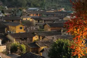Lolo Chai: Uncover the Rustic Beauty of an Ancient Village & Its 'World's Most Enduring' Persimmon Tree, a Tourist Magnet - image 5