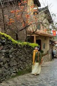 Lolo Chai: Uncover the Rustic Beauty of an Ancient Village & Its 'World's Most Enduring' Persimmon Tree, a Tourist Magnet - image 0