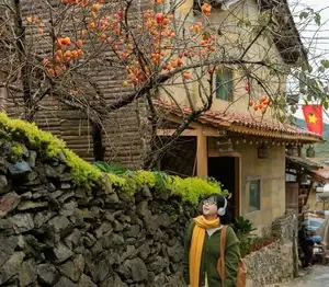 Lolo Chai: Uncover the Rustic Beauty of an Ancient Village & Its 'World's Most Enduring' Persimmon Tree, a Tourist Magnet - image 1