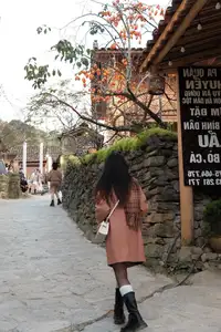 Lolo Chai: Uncover the Rustic Beauty of an Ancient Village & Its 'World's Most Enduring' Persimmon Tree, a Tourist Magnet - image 3