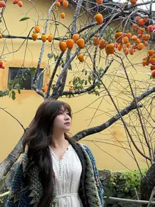 Lolo Chai: Uncover the Rustic Beauty of an Ancient Village & Its 'World's Most Enduring' Persimmon Tree, a Tourist Magnet - image 8