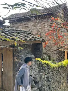 Lolo Chai: Uncover the Rustic Beauty of an Ancient Village & Its 'World's Most Enduring' Persimmon Tree, a Tourist Magnet - image 7