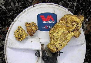 Lucky Diver Stumbles Upon Massive Gold Nugget Worth Millions Underwater - image 6