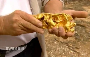 Lucky Diver Stumbles Upon Massive Gold Nugget Worth Millions Underwater - image 7