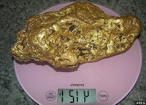 Lucky Diver Stumbles Upon Massive Gold Nugget Worth Millions Underwater - image 2