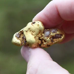 Lucky Diver Stumbles Upon Massive Gold Nugget Worth Millions Underwater - image 5