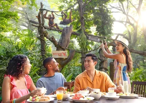 Savoring the Morning: 4 Unique Ways to Enjoy Brunch in Singapore - image 1