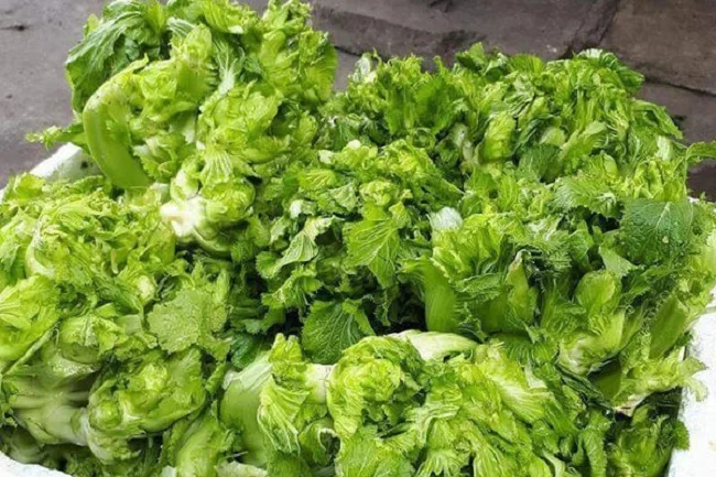 The Wild Vegetable That Went from Poor Man’s Food to a Premium Urban Delicacy