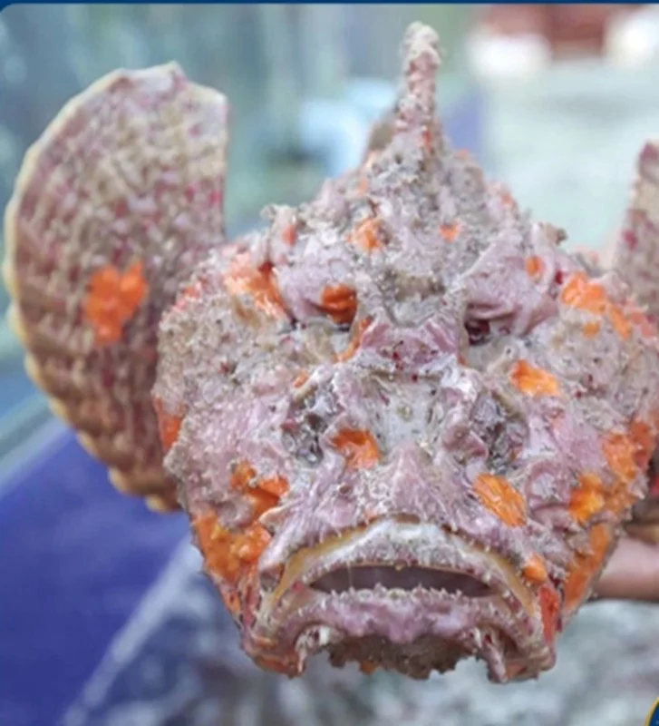 Three Bizarre Delicacies That Wealthy Foodies Absolutely Love