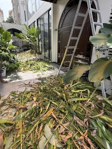Inside Actress Van Trang's Stunning 1,000-Square-Meter Eco-Friendly Green Villa - image 9