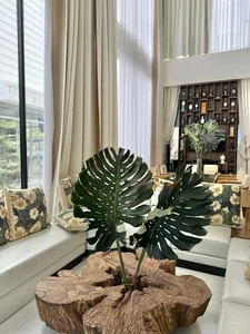 Inside Actress Van Trang's Stunning 1,000-Square-Meter Eco-Friendly Green Villa - image 8