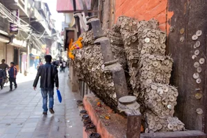 The Mysterious 'Toothache Tree' of Nepal: A Unique Tradition in Kathmandu - image 5