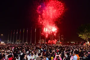Spectacular Fireworks Displays Welcome the New Year with Brilliance - image 12