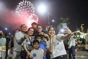 Spectacular Fireworks Displays Welcome the New Year with Brilliance - image 9