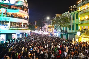 Spectacular Fireworks Displays Welcome the New Year with Brilliance - image 0