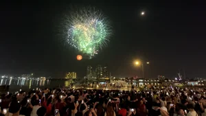 Spectacular Fireworks Displays Welcome the New Year with Brilliance - image 7