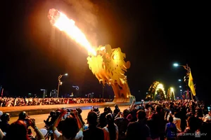 Spectacular Fireworks Displays Welcome the New Year with Brilliance - image 10