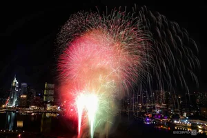 Spectacular Fireworks Displays Welcome the New Year with Brilliance - image 11