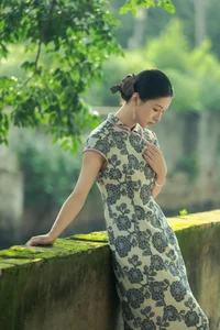 Elegant Traditional Aesthetics: Shen Jia He in YiTuYu Art Language Vol.10237 Portrait Gallery - image 0