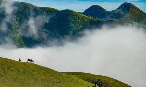 Breathtaking Cloud Hunting Destinations in Northern Vietnam’s Mountains - image 9