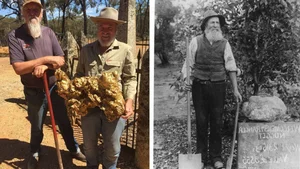 Incredible Discovery: How Two Construction Workers Struck Gold and Changed Their Lives Forever - image 7