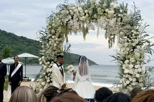 Cao Quang Vinh Marries African Beauty: Quang Hai Attends - image 3