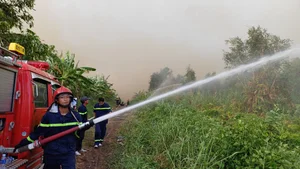 Devastating Aftermath of the 16-Hour Melaleuca Forest Fire in Ca Mau - image 11