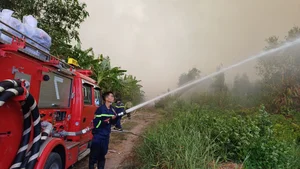 Devastating Aftermath of the 16-Hour Melaleuca Forest Fire in Ca Mau - image 9