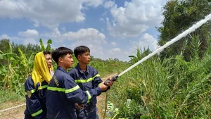 Devastating Aftermath of the 16-Hour Melaleuca Forest Fire in Ca Mau - image 8