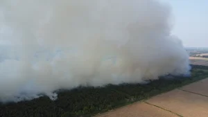 Devastating Aftermath of the 16-Hour Melaleuca Forest Fire in Ca Mau - image 1