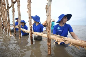 Vinamilk’s Net Zero Forest Initiative: Restoring 25 Hectares of Mangroves in Ca Mau - image 6