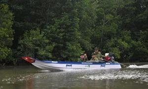 Vinamilk’s Net Zero Forest Initiative: Restoring 25 Hectares of Mangroves in Ca Mau - image 2