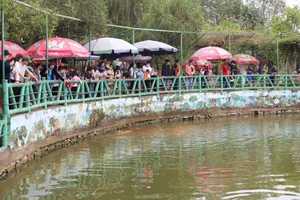 Discovering the Historic Hometown of President Ho Chi Minh in Nam Dan, Nghe An After Tet Festival - image 3