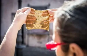 The Return of the Noble Pen Shell: Rare 'Sea Silk' Clam Reappears in Croatia - image 6