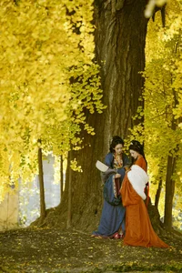 Modern Portraiture Excellence: YiTuYu Art Language Vol.6159 Showcasing Pan Pan - image 14