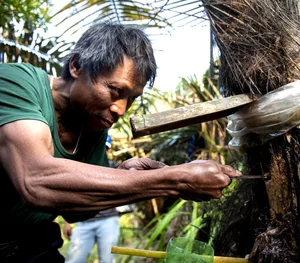 The Secret of the Doac Tree: Discovering Vietnam’s Natural Forest Wine - image 6