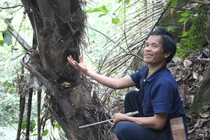 The Secret of the Doac Tree: Discovering Vietnam’s Natural Forest Wine - image 7
