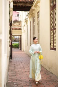 Lunar New Year Fashion Guide: How to Choose the Perfect Vietnamese Ao Dai for Tet - image 4