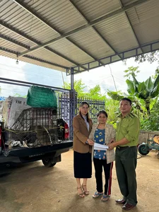 Rare Endangered Primates Discovered in Kon Tum Residential Home: A Conservation Success - image 1