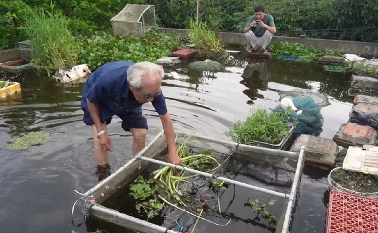 Amazing Rooftop Fish Pond Built by an 89-Year-Old in Hai Duong